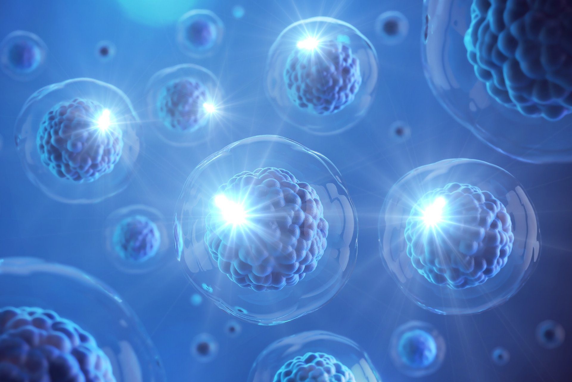 For 20 Years This Company Has Helped to Shape the Field of Cell Therapy