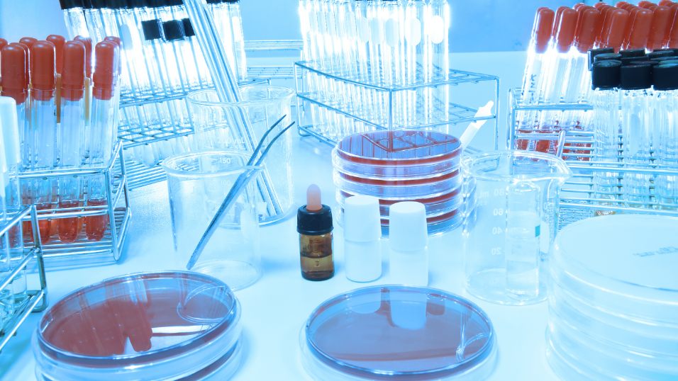 KC BioHub Awarded $38.1 Million to Advance Regional Biomanufacturing Growth