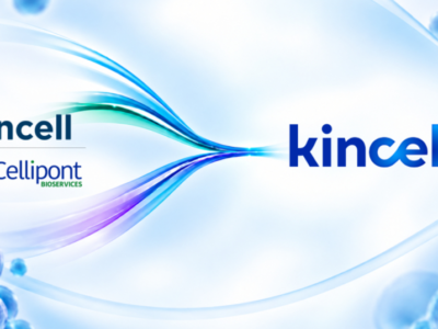 RTP’s Kincell Bio Merges with Cellipont Bioservices to Form Kincellis Advanced Therapies