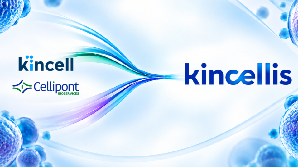 RTP’s Kincell Bio Merges with Cellipont Bioservices to Form Kincellis Advanced Therapies