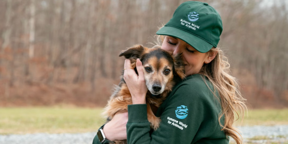 Pennsylvania Enacts Beagle Bill, Adding New Requirements for Research Facilities That Use Dogs and Cats
