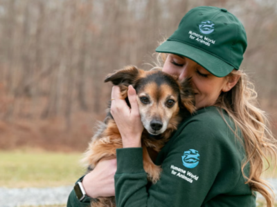 Pennsylvania Enacts Beagle Bill, Adding New Requirements for Research Facilities That Use Dogs and Cats